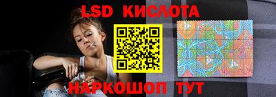 гидра Можга