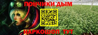 гидра Можга
