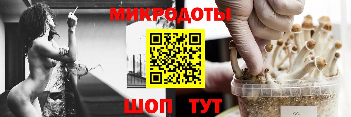 Псилоцибиновые грибы Psilocybine cubensis Таганрог